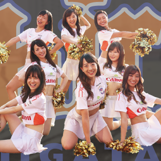 AlbirexS Cheerleaders
